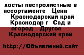 хосты пестролистные в ассортименте › Цена ­ 150 - Краснодарский край, Краснодар г. Сад и огород » Другое   . Краснодарский край